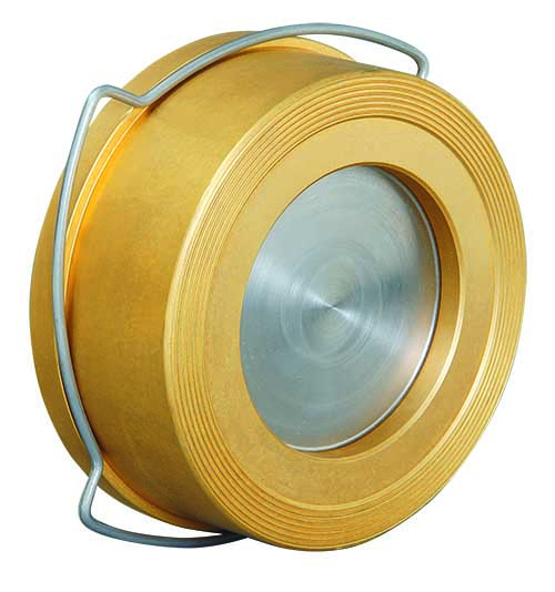 Disc Check Valve resim